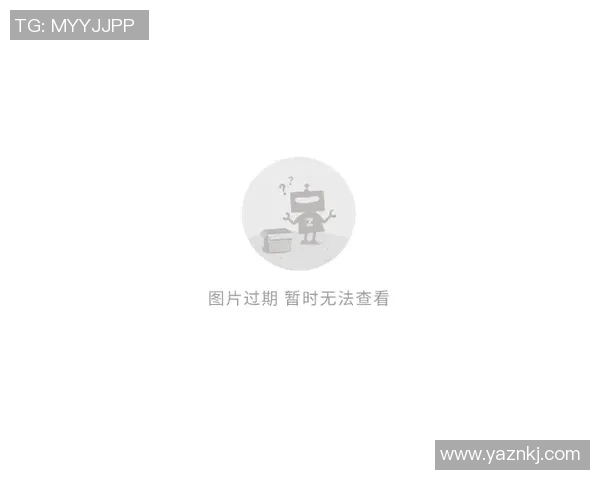 DOTA2战术：WE的节奏体系